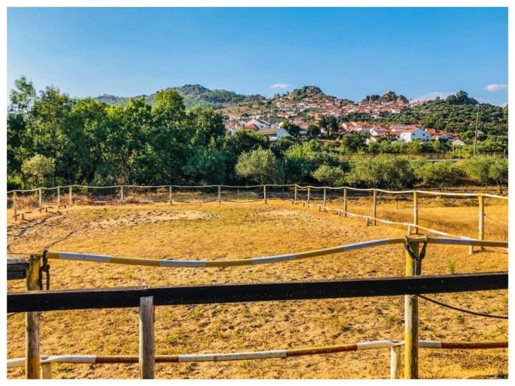 Casa Vinte & Cinco Alojamento Local بنيا جارسيا المظهر الخارجي الصورة