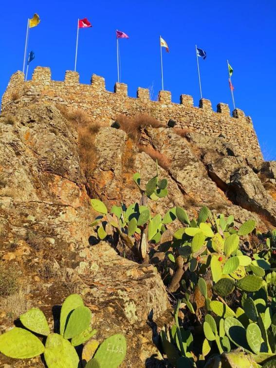 Casa Vinte & Cinco Alojamento Local بنيا جارسيا المظهر الخارجي الصورة